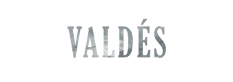 textos web. valdés